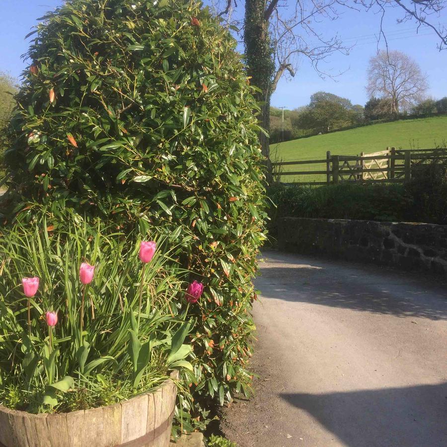 Llanddeiniol The Bakery 빌라 외부 사진